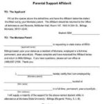 Affidavit Of Support Sample Letter For Immigration Master Of Template