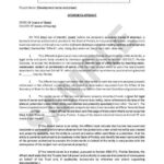 Affidavit Sample Florida HQ Printable Documents