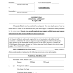 Confidential Financial Affidavit Fill Online Printable Fillable