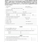 Defendant s Financial Affidavit In Word And Pdf Formats