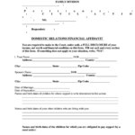 Domestic Relations Financial Affidavit Printable Pdf Download