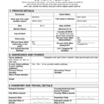 Ds 260 Form Download Fill Online Printable Fillable Blank PdfFiller
