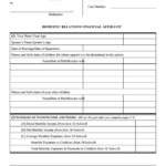 Fillable Domestic Relations Financial Affidavit Printable Pdf Download