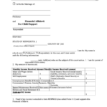 Fillable Financial Affidavit For Child Support Printable Pdf Download