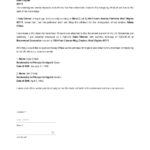 Financial Sponsor Affidavit Of Support Template In Google Docs Word