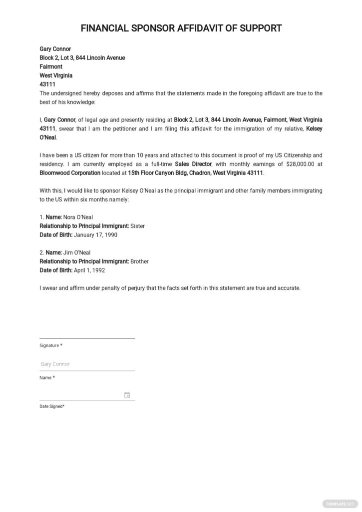 Financial Sponsor Affidavit Of Support Template In Google Docs Word 