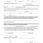 Form 78 010 10 Affidavit Of Sale Under Lien Form Printable Pdf Download