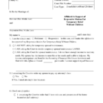 Form DIV703 Download Printable PDF Or Fill Online Affidavit In Support