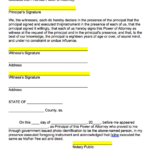 Free Power Of Attorney POA Form PDF Word EForms
