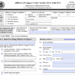 I 864 Affidavit Of Support For Green Card Application DYgreencard