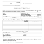 Illinois Financial Affidavit Fill Out And Sign Printable PDF Template
