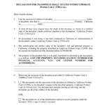 Small Estate Affidavit Fill Online Printable Fillable Blank