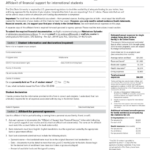 2017 Affidavit Form Fillable Printable PDF Forms Handypdf
