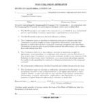 2021 Non Collusion Affidavit Fillable Printable PDF Forms Handypdf