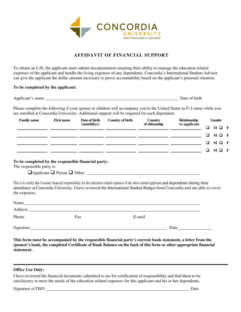 9 Affidavit Of Financial Support Examples PDF Examples