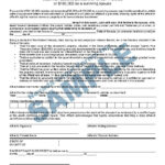 AFFIDAVIT FOR TRANSFER OF TITLE TO A MOTOR VEHICLE Nevada Legal Forms