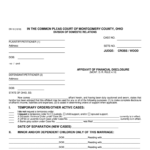 Affidavit Of Financial Disclosure Montgomery County Fill And Sign