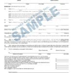 AFFIDAVIT OF SUPPORT Nevada Legal Forms Services