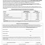 California Financial Affidavit Fill Out And Sign Printable PDF