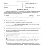 Download Free El Paso County Texas Small State Affidavit Form Form