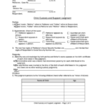 Fillable Child Custody And Support Judgment Form St Louis County