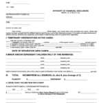 Fillable Form Dr 10 Affidavit Of Financial Disclosure In The Common