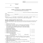 Financial Affidavit Fill Out And Sign Printable PDF Template SignNow