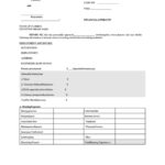 Financial Affidavit Short Form Printable Pdf Download