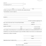 Form Dr 6795 Affidavit Colorado Department Of Revenue Printable Pdf