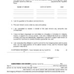 FREE 17 Guardianship Forms That Protect Your Child In PDF Ms Word