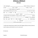 FREE 8 Witness Affidavit Form Samples In PDF MS Word