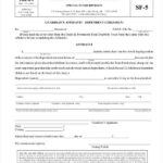 FREE 9 Sample Guardianship Affidavit Forms In PDF MS Word