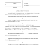 GA Affidavit Of Poverty Dekalb County 2010 Fill And Sign Printable