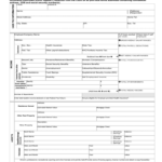 Nys Financial Affidavit Fill Out And Sign Printable PDF Template