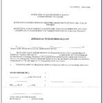 Template For Affidavit South Africa