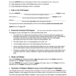 Temporary Child Support Order In Texas Fill Out And Sign Printable