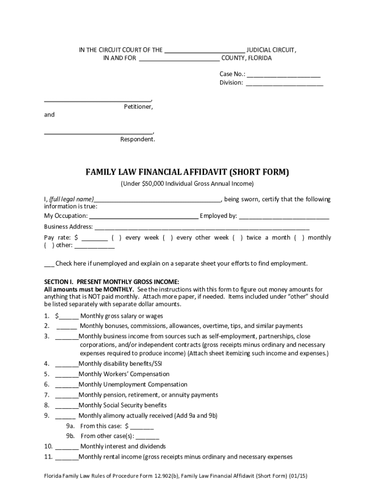 Form 12 902 B Financial Affidavit 2023 PrintableAffidavitForm