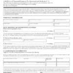 2021 Affidavit Of Financial Support Form Fillable Printable PDF