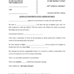 Affidavit For Divorce Fill Online Printable Fillable Blank PdfFiller