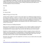 Affidavit Letter Of Support Example Unique 29 Of Template Affidavit