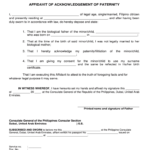 Affidavit Of Acknowledgement Of Paternity 2020 Fill And Sign