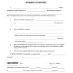 Affidavit Of Support Fill Out And Sign Printable PDF Template SignNow
