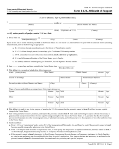 Affidavit Of Support Form Sample Edit Fill Sign Online Handypdf