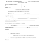 Aislamy Consent Judgment Form New Jersey
