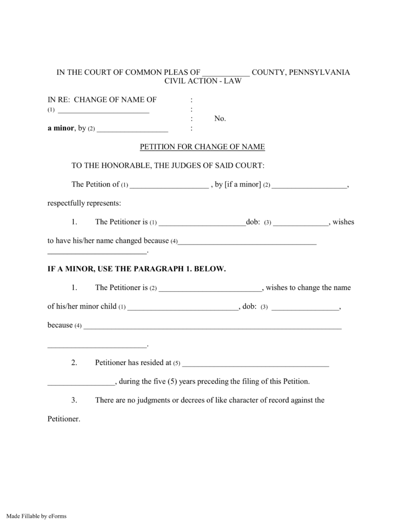 Aislamy Consent Judgment Form New Jersey