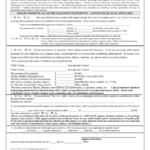 Child Support Affidavit Template In Word And Pdf Formats