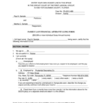 Financial Affidavit Florida Fill Out And Sign Printable PDF Template