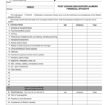 Financial Affidavit Long Form Fill Out And Sign Printable PDF