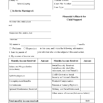 Form FAM102 Download Fillable PDF Or Fill Online Financial Affidavit