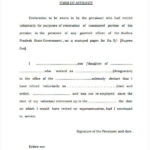 FREE 19 General Affidavit Samples And Templates In PDF